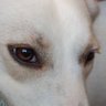 Profilbild von Nerdinha