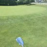 ⛳️campari⛳️ profil fotoğrafı