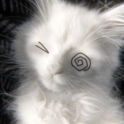 zm1sr's profile picture