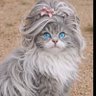 Фото профиля Mavi 🐱💛❤️🐱