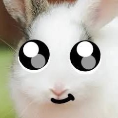 bloodstainedfly's profile picture
