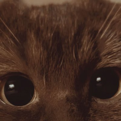 `'s profile picture