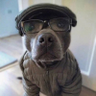 Max's profile picture