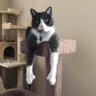 Profilbild von Gary
