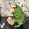 Kwoo's profile picture