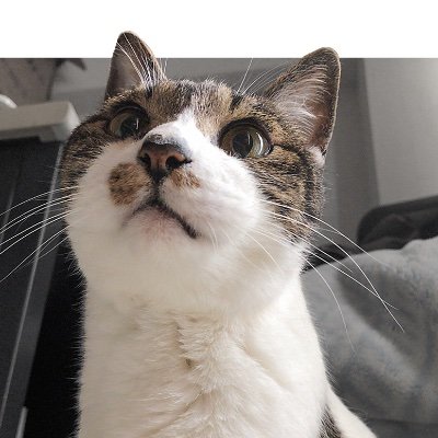 AJABON's profile picture