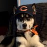 Twizzy's profile picture