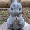 すずらん profil fotoğrafı