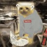 Фото профиля 🐸PepeTheJuiceman🧃