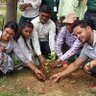 Vivek Yadav's profile picture
