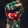 Фото профиля shahid mehmood
