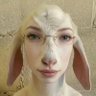 メーメー🐐 profil fotoğrafı