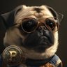 Pug Stream's profile picture