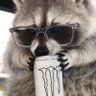 Фото профиля アライグマのマー君