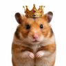 Фото профиля Hamster