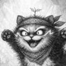 Profilbild von TOM