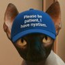 lolnotacat profil fotoğrafı