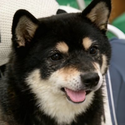 rymin541's profile picture