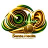 Profilbild von Sensa Media Network