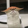 千里走單騎 profil fotoğrafı
