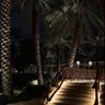 Al-qahtani profil fotoğrafı