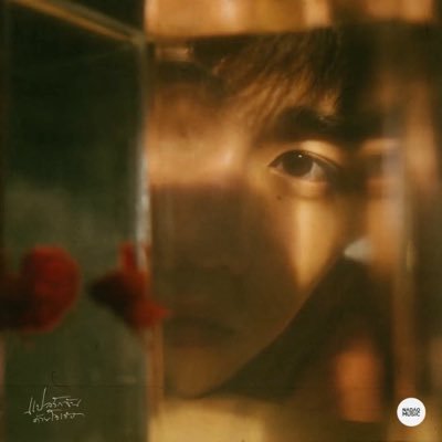 𝘢𝘥𝘰𝘳𝘢𝘣𝘪𝘦𝘸 ˚ ♡'s profile picture