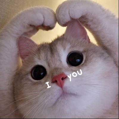 ☪︎· พินัน ʚɞ.⋆♡̶'s profile picture