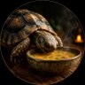 Turtle Soup's profile picture