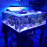 Фото профиля Castle Reef