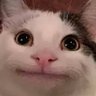 Profilbild von amin