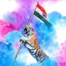 SHISHIR's profile picture
