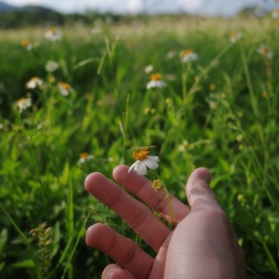 meeimeeu's profile picture