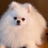 Profilbild von あいと