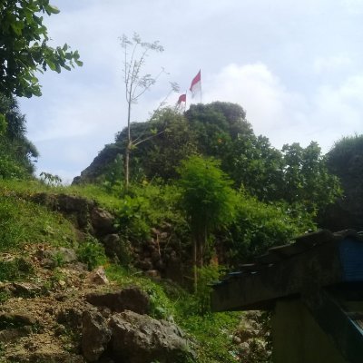 Giri Kedaton's profile picture