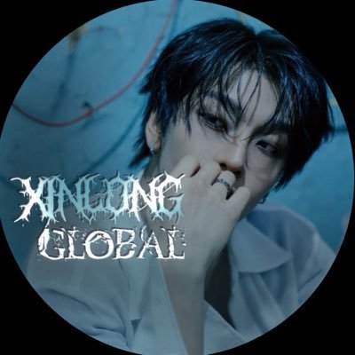 XINLONGGLOBAL's profile picture