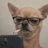 David Favour's profile picture