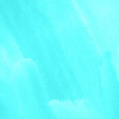 ๐๐ค's profile picture