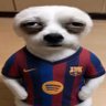 perrete's profile picture