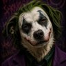 JokerDog profil fotoğrafı