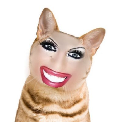 jokowigeprek's profile picture