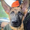 Фото профиля Zeus