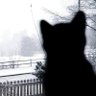 AB profil fotoğrafı