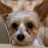 Ellie profil fotoğrafı