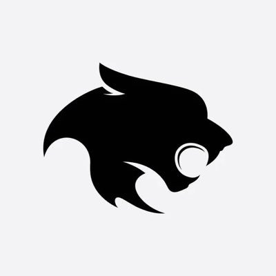 salamisev's profile picture