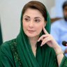 ن لیگ کا شہزادہ's profile picture