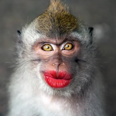dckn (knocked)'s profile picture