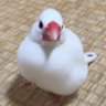 なーこ profil fotoğrafı