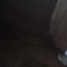 nuwagira Steve profil fotoğrafı
