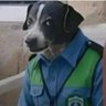 Frank Sebucu's profile picture