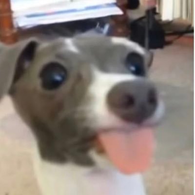Daisy's profile picture